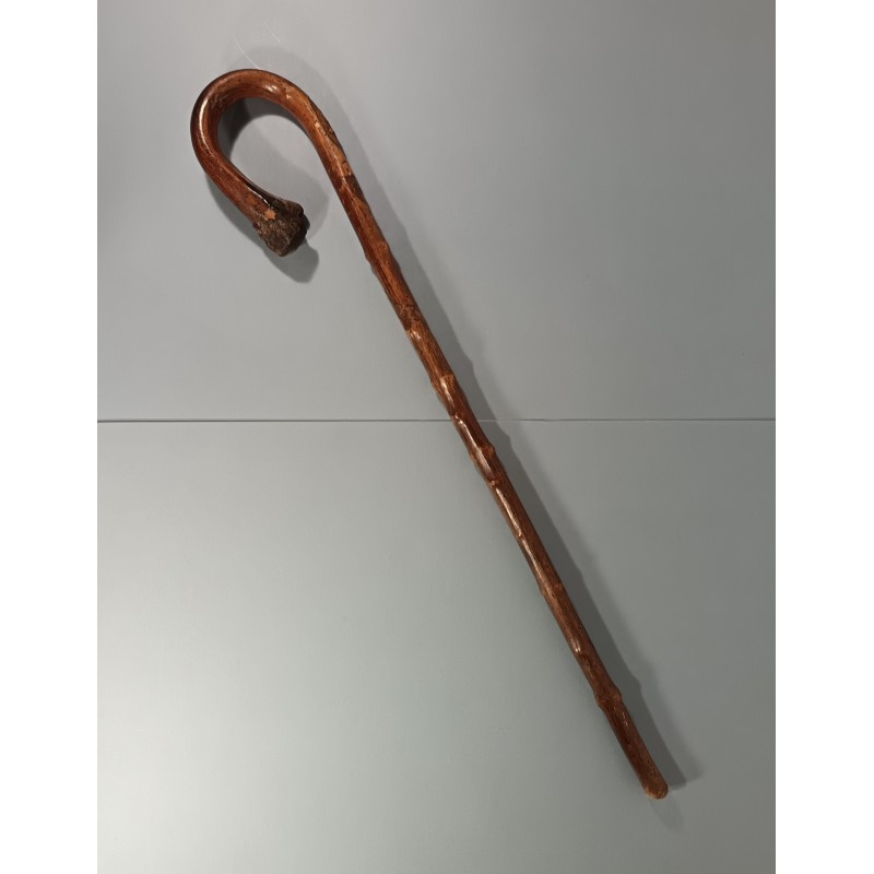 CANE ARTISANAT SOUVENIR DES POILUS DE LA GRANDE GUERRE MARQUEE 14 A 17 FORET DE PARR (PARROY - MEURTHE ET MOSELLE)